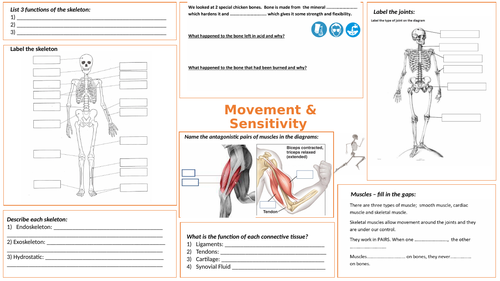 Movement Learning Mat with Mark Scheme