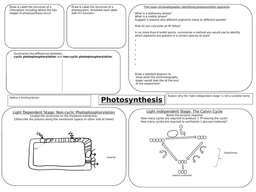 OCR A Level Biology Photosynthesis