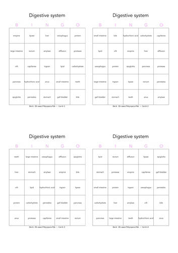 Digestive system bingo