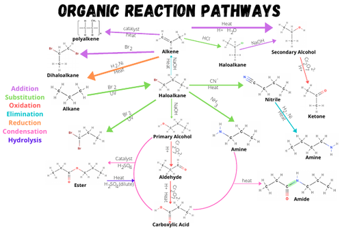 Organic Reaction Pathways Poster Teaching Resources 1552