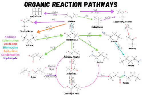 Organic Reaction Pathways Poster