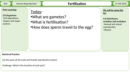 Fertilisation