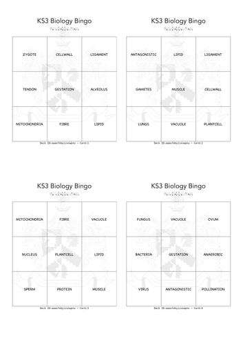 ks3 biology bingo