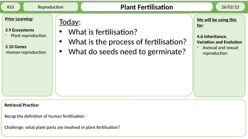 Plant Fertilisation