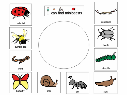 Minibeast hunt viewfinder (Boardmaker resource)