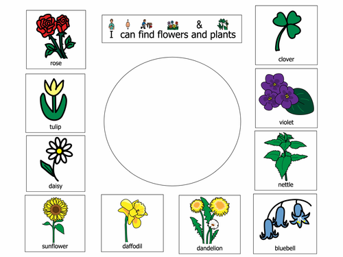 Flower/Plant hunt viewfinder (Boardmaker resource)