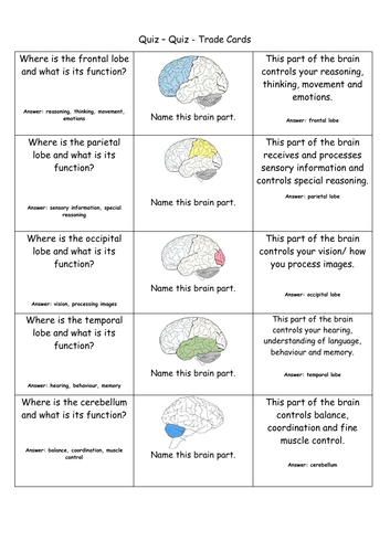 The Brain - unit review - quiz quiz trade cards