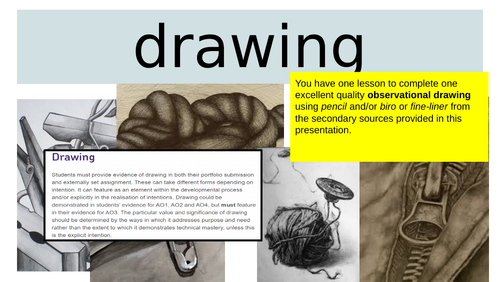 Natural Forms observational drawing cover