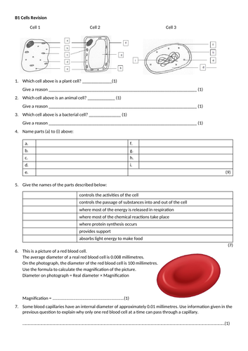 GCSE Cells Revision