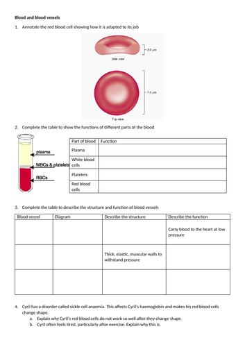 Blood and Blood Vessels GCSE Worksheet and Presentation