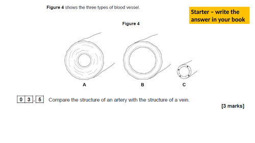 Heart and Circulation GCSE Worksheet and Presentation