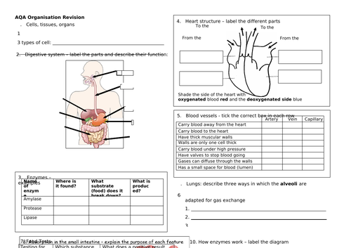 GCSE AQA Organisation Revision Worksheet