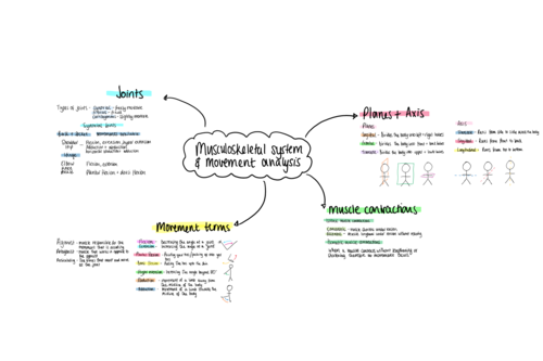 AQA A level PE - Musculoskeletal system mindmap