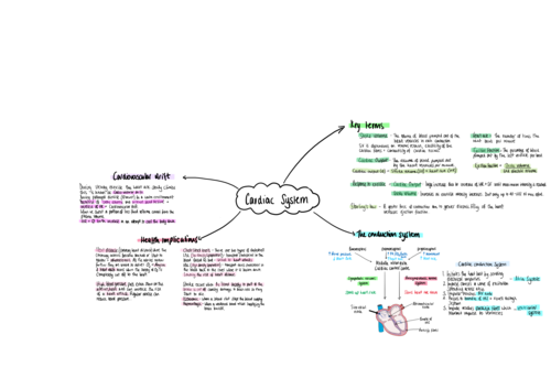 AQA A level PE - cardiac system mindmap