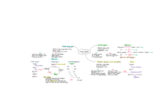 AQA A level PE - Energy systems mindmap