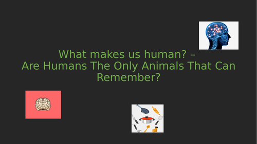 Are Humans The Only Animals That Can Remember?What makes us human? –