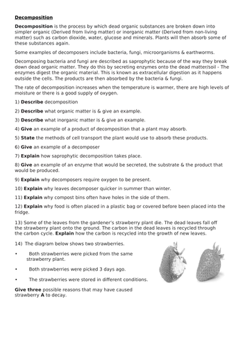 Decomposition worksheet (SPEC 7, AQA)