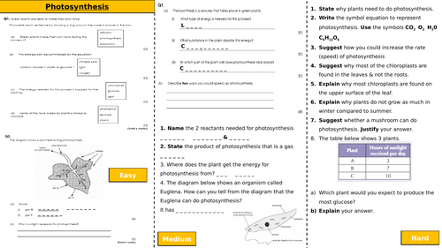 Photosynthesis Worksheet - Differentiated (AQA, SPEC 4)