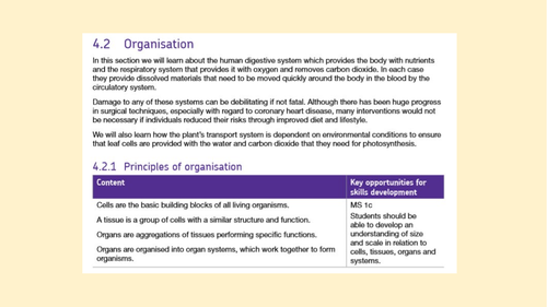 Organisation b2 revision