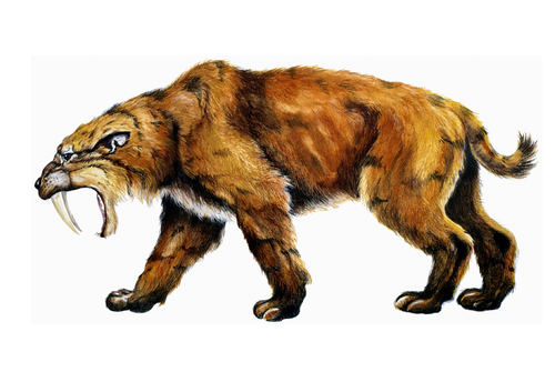 Cave Baby Rhyming Couplets lesson PPT