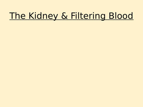 The Kidney and Filtering Blood