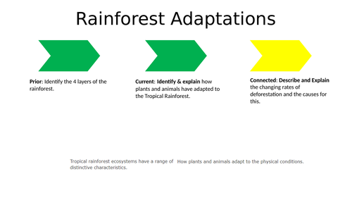 Tropical Rainforest Plant & Animal Adaptations - AQA GCSE