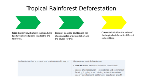 Causes and effects of deforestation - AQA GCSE