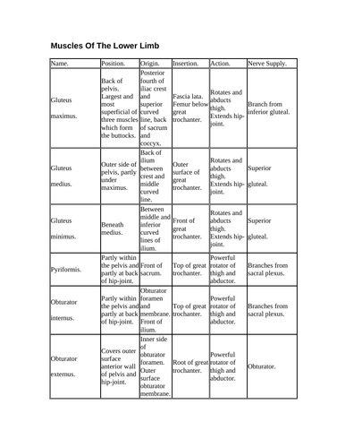 muscles of the lower limb