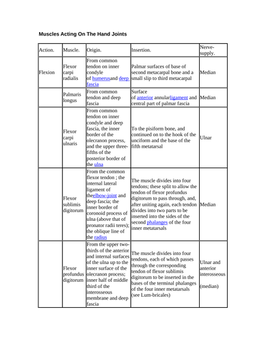 muscles of the hand joint