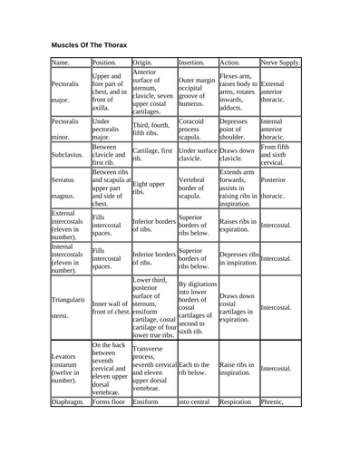 muscles of the thorax