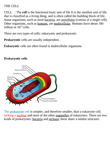 the cell