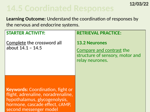 OCR Biology A- 14.5 Coordinated Responses