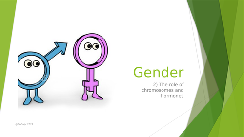 AQA A Level Paper 3 –  Gender - Chromosomes and Hormones -Power Point