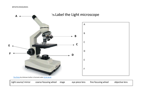 parts of a compound light microscope worksheet