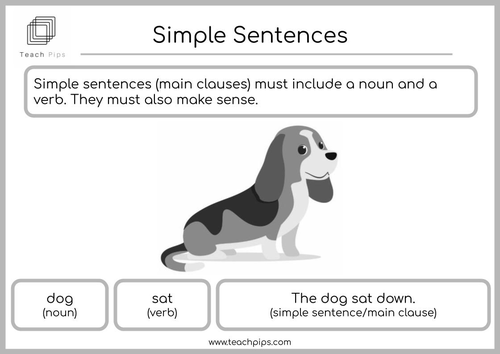 NEW Sentence Types