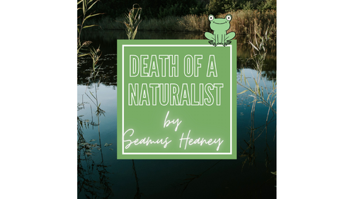 Death of a Naturalist Summary Instagram Post Eduqas Poetry Anthology