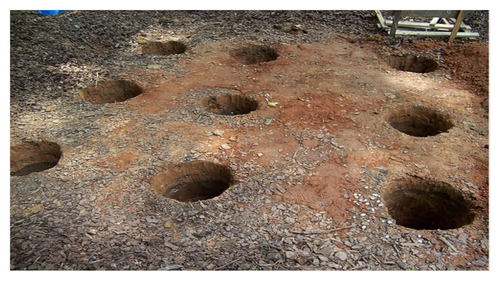 Yr6/7 Novel Holes - Lower ability lessons to accompany the novel.