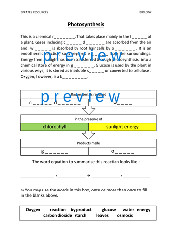 Photosynthesis- Low ability learners