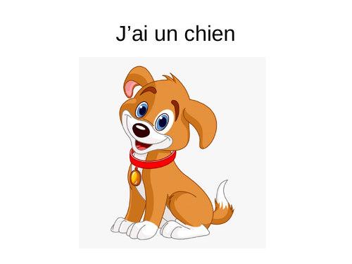 Les animaux / Pets and animals