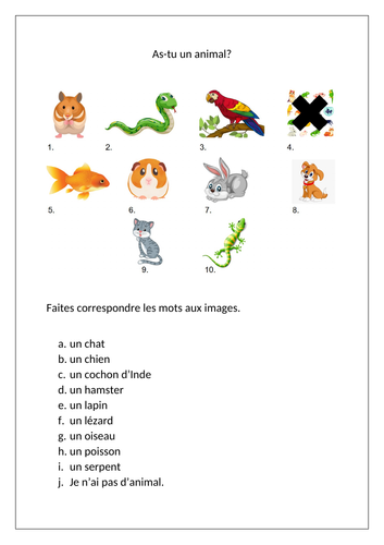 Les animaux / Pets and animals