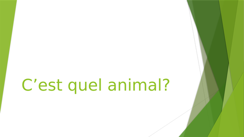 Les animaux / Pets and animals