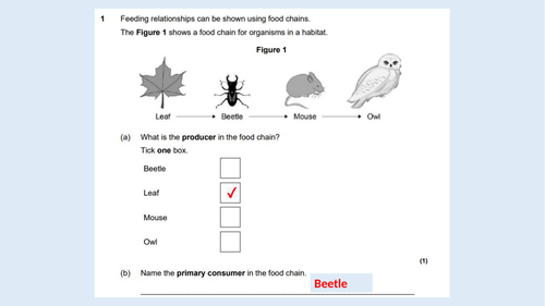 AQA Trilogy Bio H and F  P2  advance info adapted mock and fast feedback power point 2022