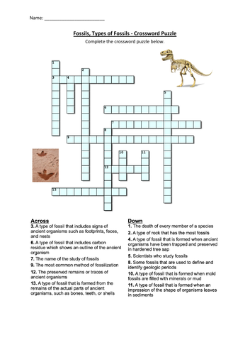 fossils-types-of-fossils-crossword-puzzle-worksheet-activity