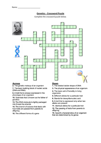 genetics crossword puzzle worksheet activity printable teaching resources