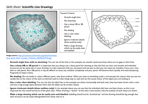 Instructions for Scientific Line Drawings