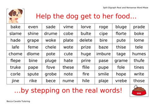 Real and Nonsense Word Maze