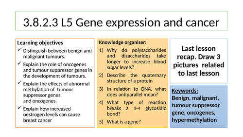 3.8.2.3 L5 Gene expression and cancer​ (AQA A-level)
