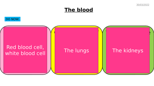 AQA GCSE Biology - B4 Organising Animals and Plants - PowerPoint pack