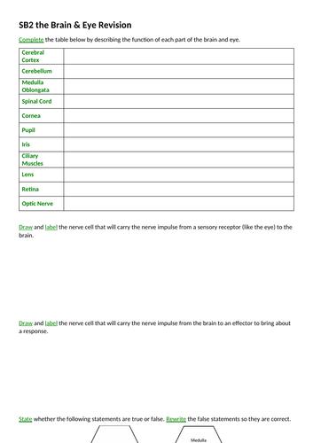 Edexcel SB2 The Brain & Eye Revision