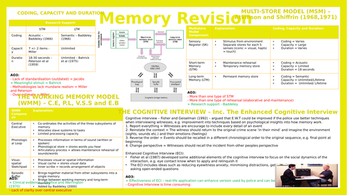 AQA Psychology Memory (Advanced Information) notes